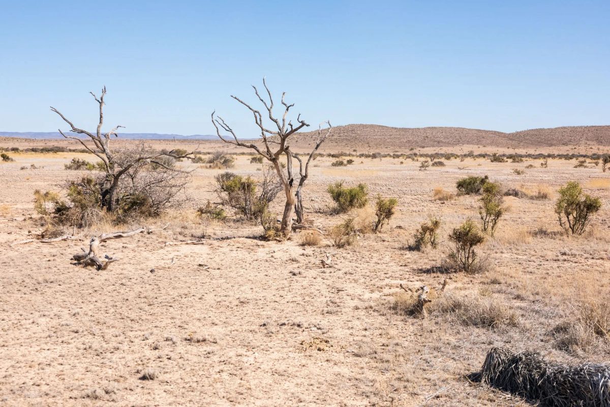 Decorative background for Sunrise Ranches Phase III Tract 129 image 6