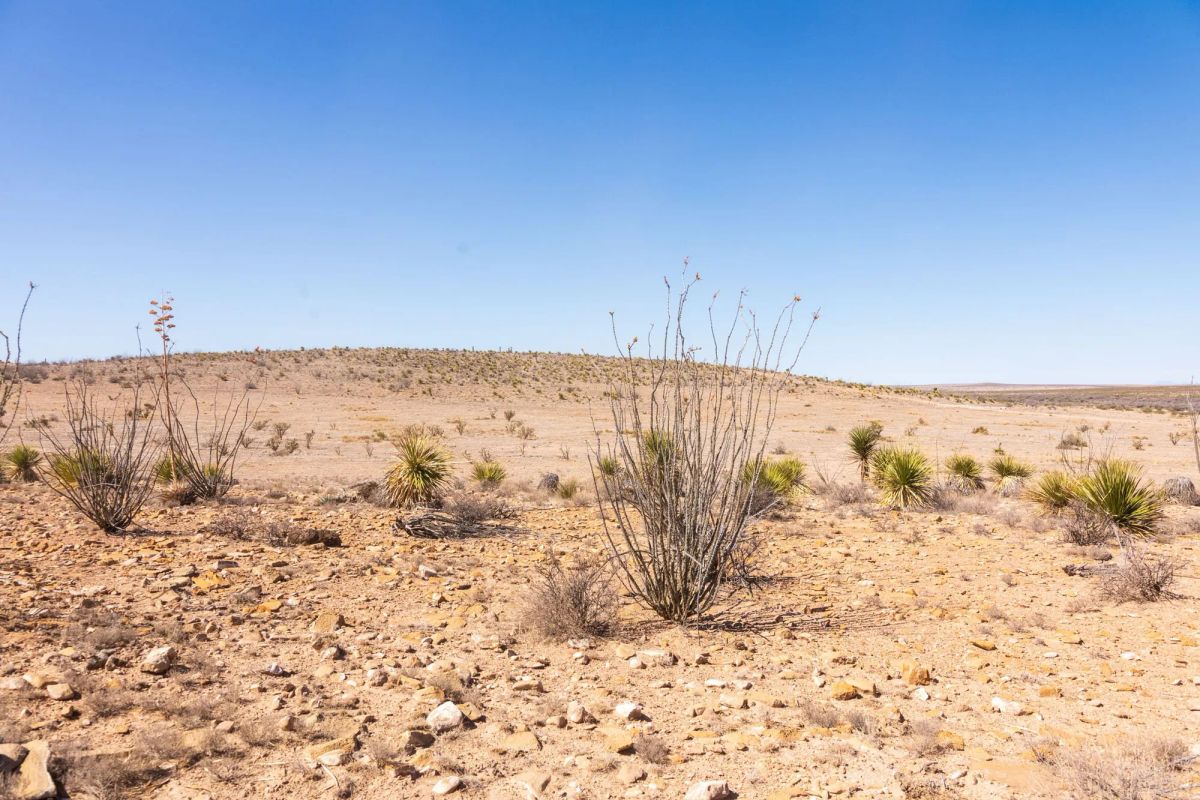 Decorative background for Sunrise Ranches Phase III Tract 129 image 9