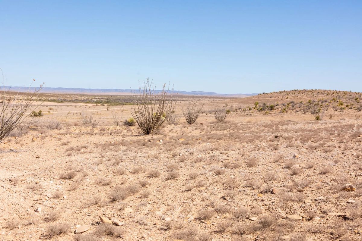 Decorative background for Sunrise Ranches Phase III Tract 129 image 10