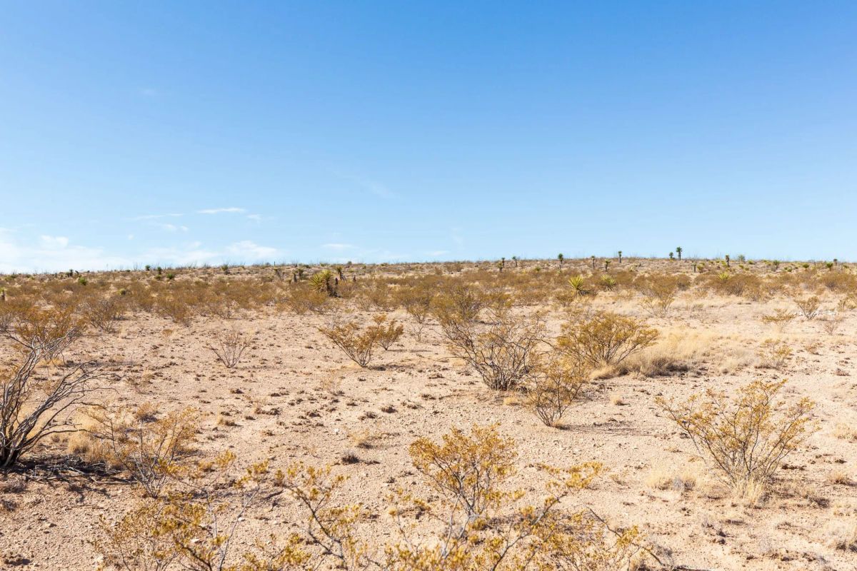 Decorative background for Sunrise Ranches Phase III Tract 129 image 16