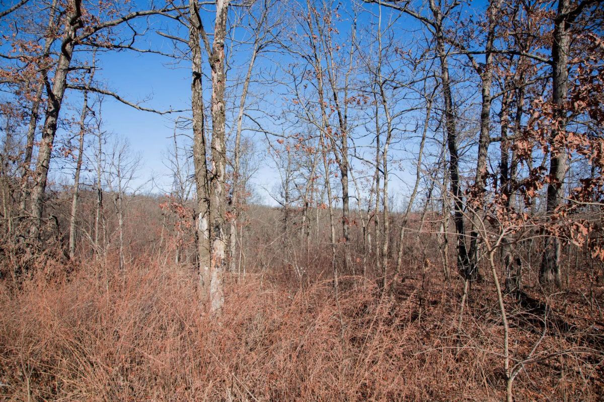 Buffalo Hills Tract 21 - Image 2