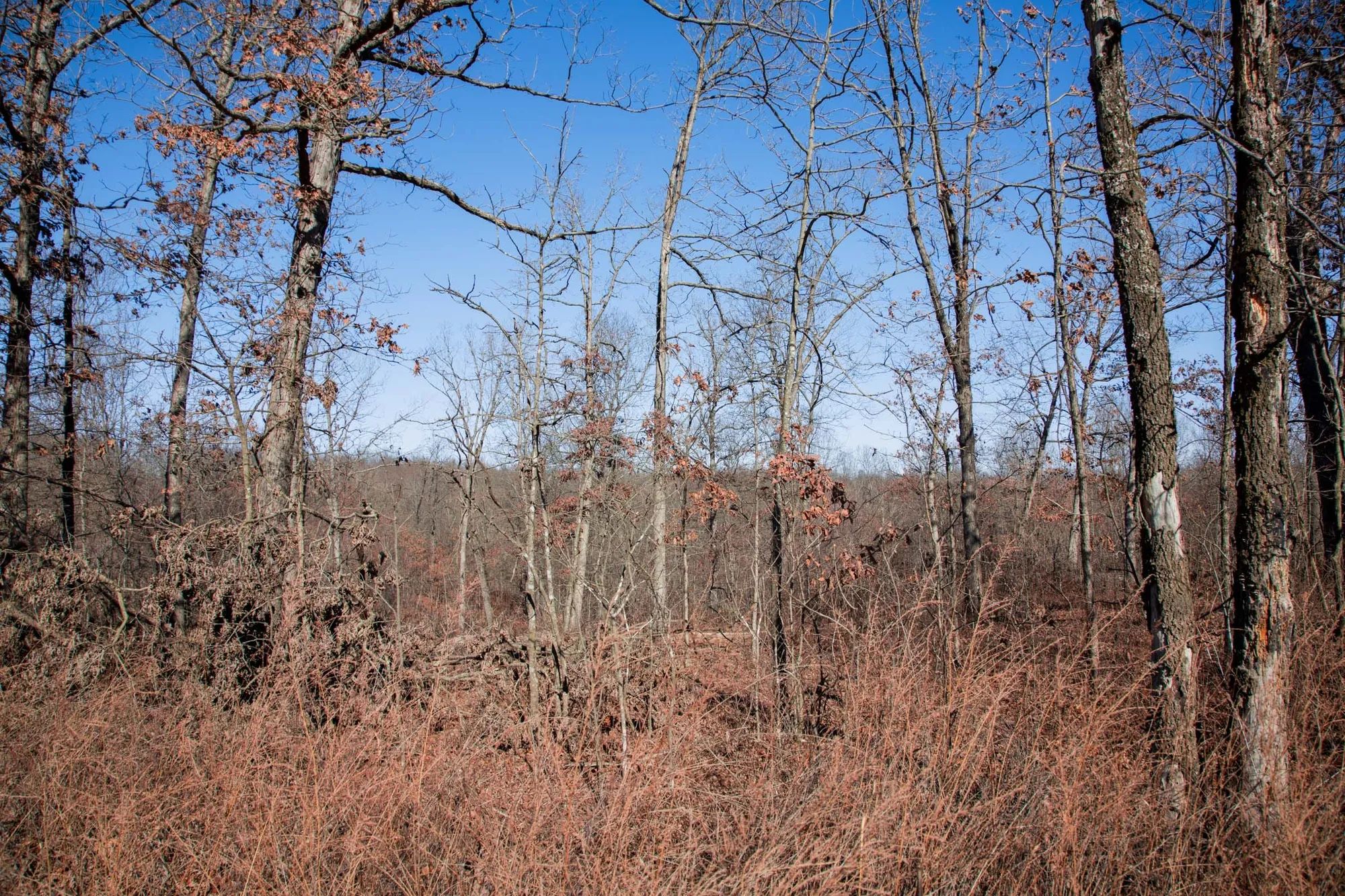 Buffalo Hills Tract 21 in Dallas County, MO