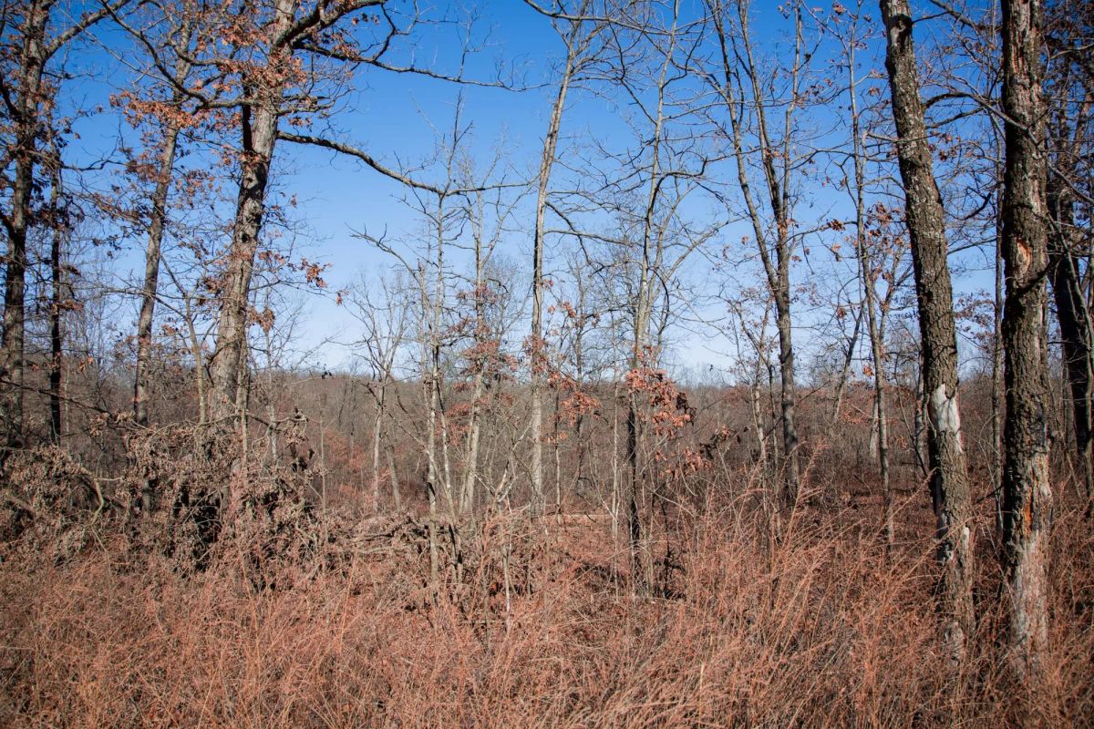 Buffalo Hills Tract 21 - Image 3