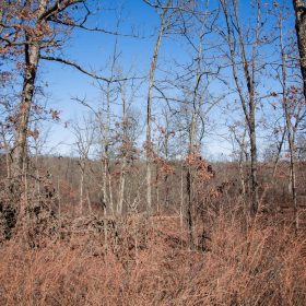 Buffalo Hills Tract 21 in Dallas County, MO