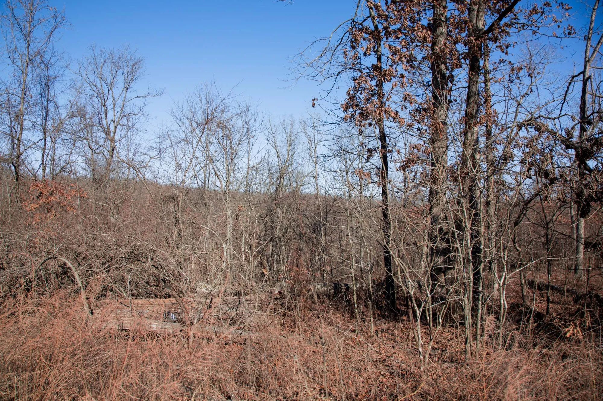 Buffalo Hills Tract 21 in Dallas County, MO