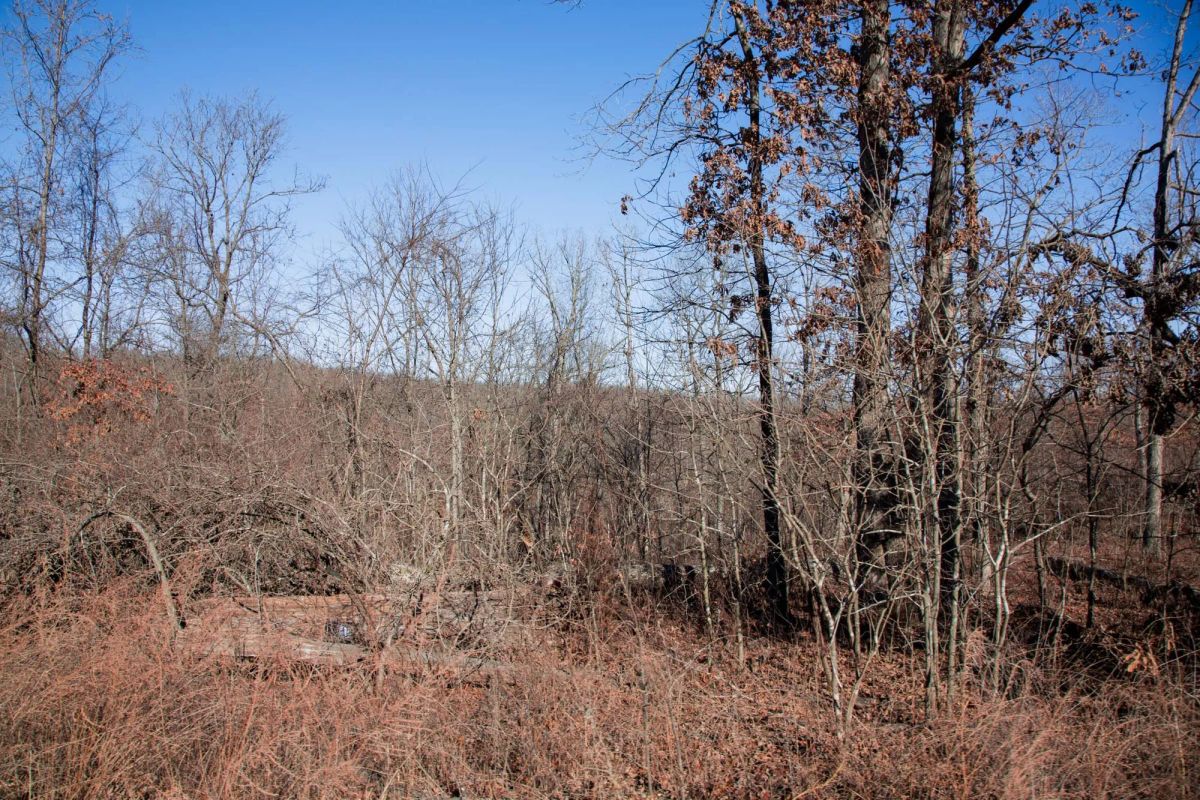 Buffalo Hills Tract 21 - Image 4