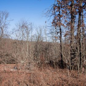 Buffalo Hills Tract 21 in Dallas County, MO