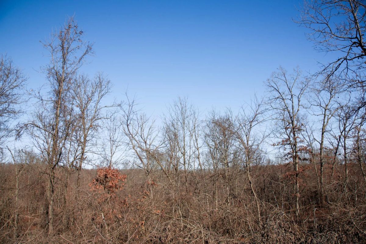 Decorative background for Buffalo Hills Tract 21 image 5