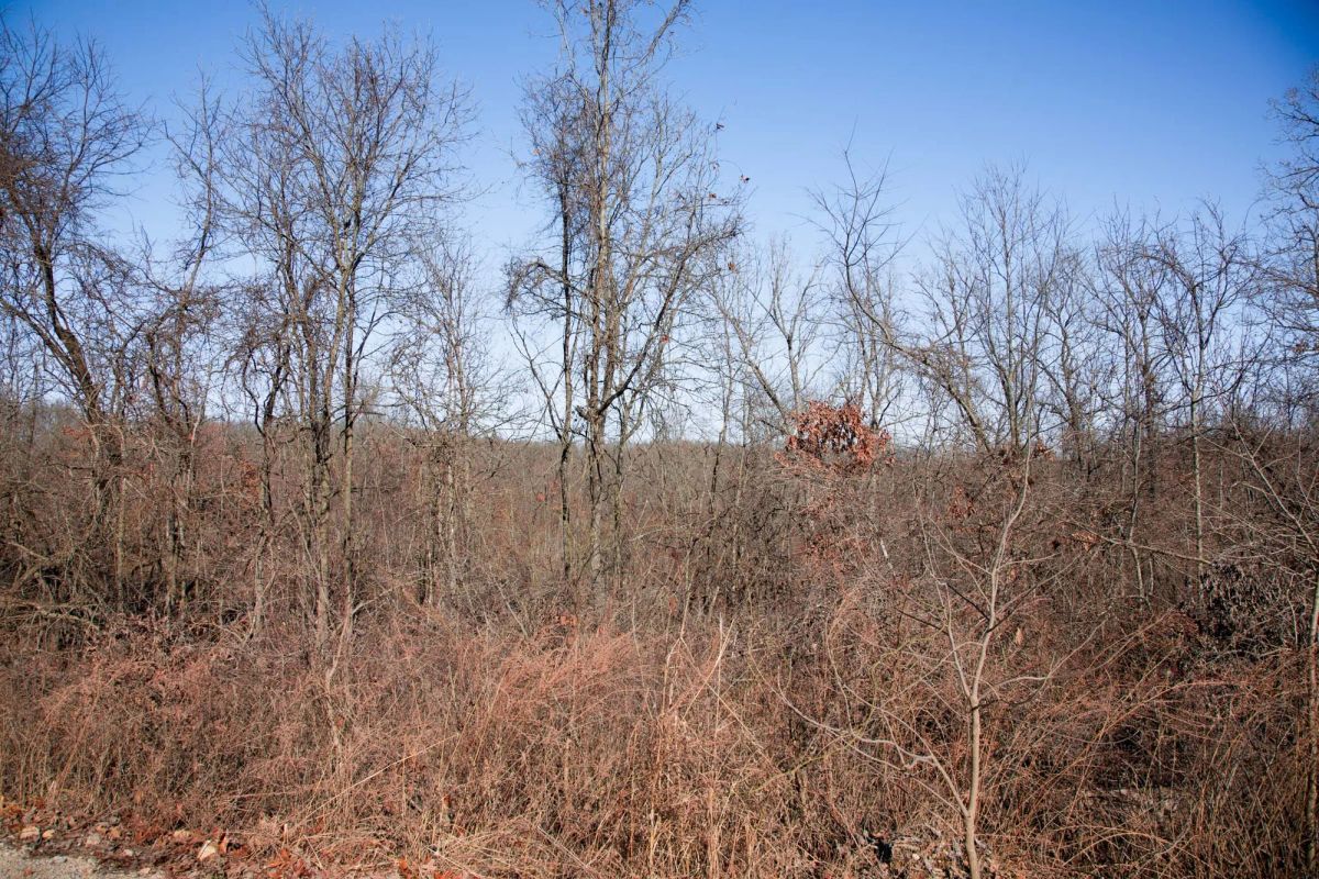 Decorative background for Buffalo Hills Tract 21 image 6