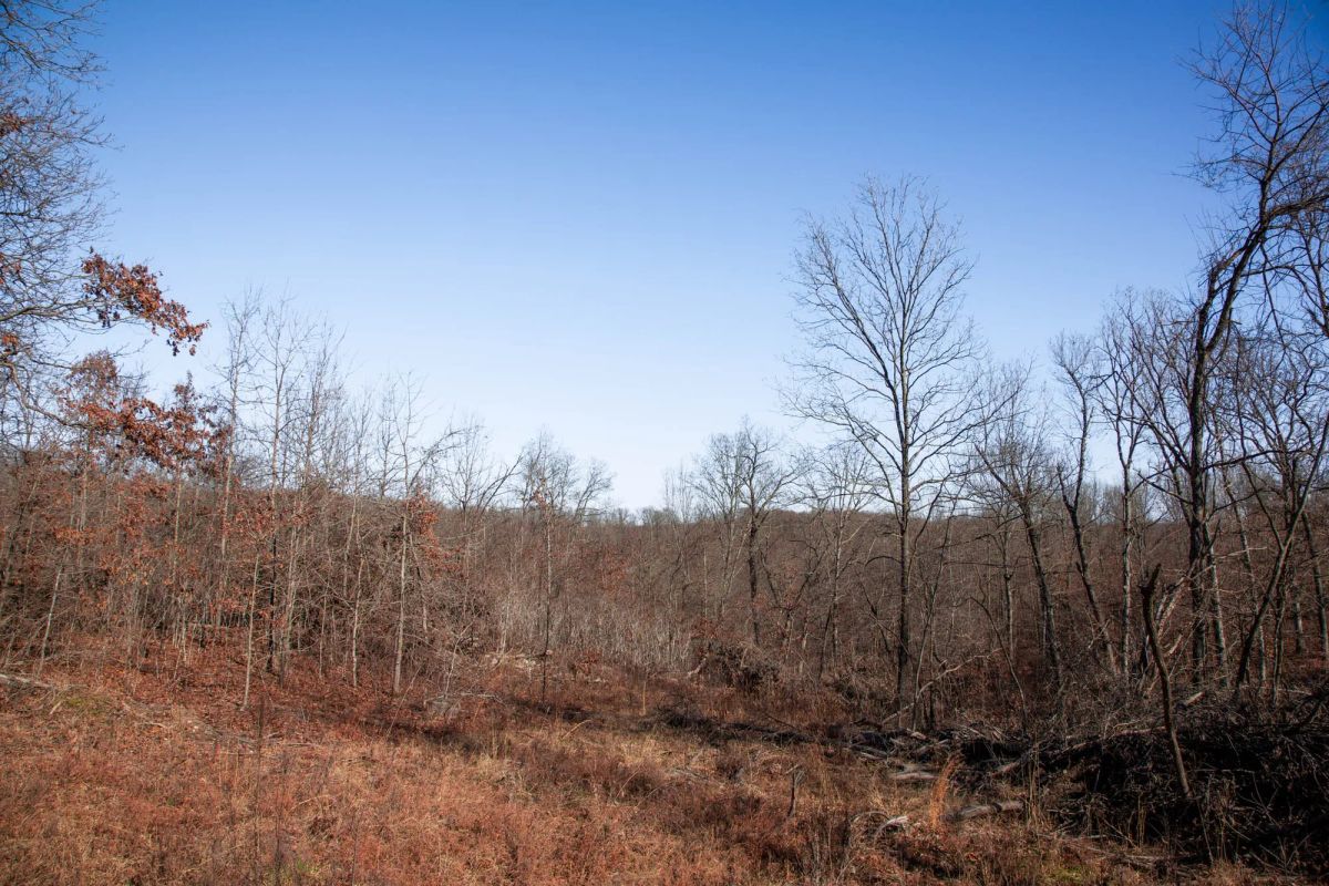 Decorative background for Buffalo Hills Tract 21 image 8