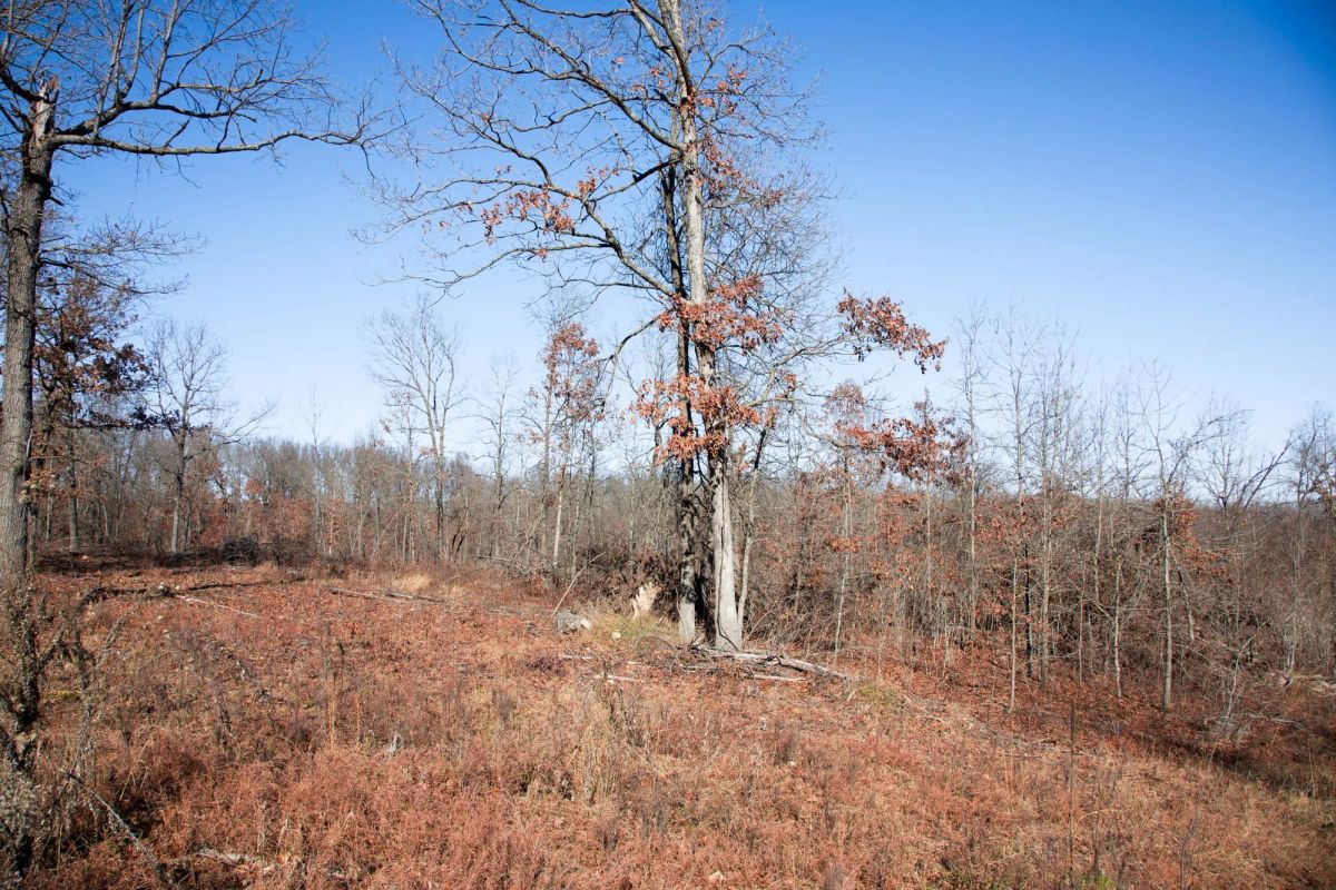 Decorative background for Buffalo Hills Tract 21 image 9