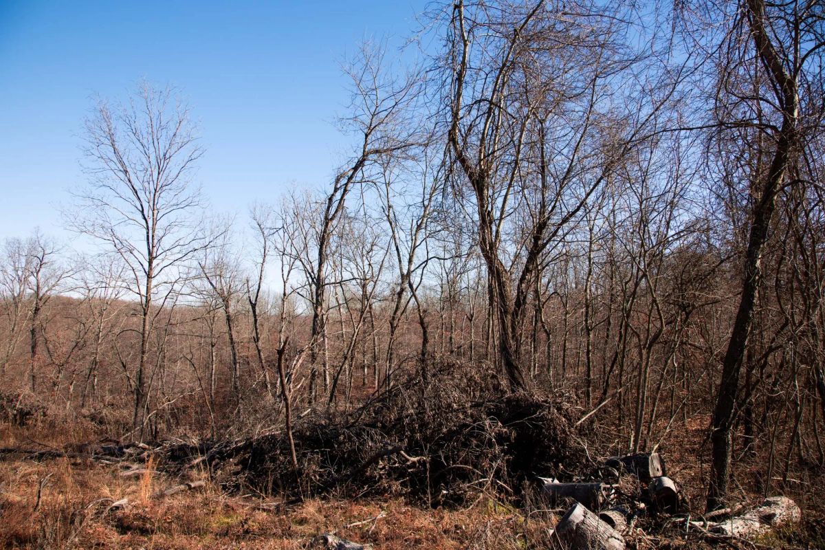 Decorative background for Buffalo Hills Tract 21 image 10