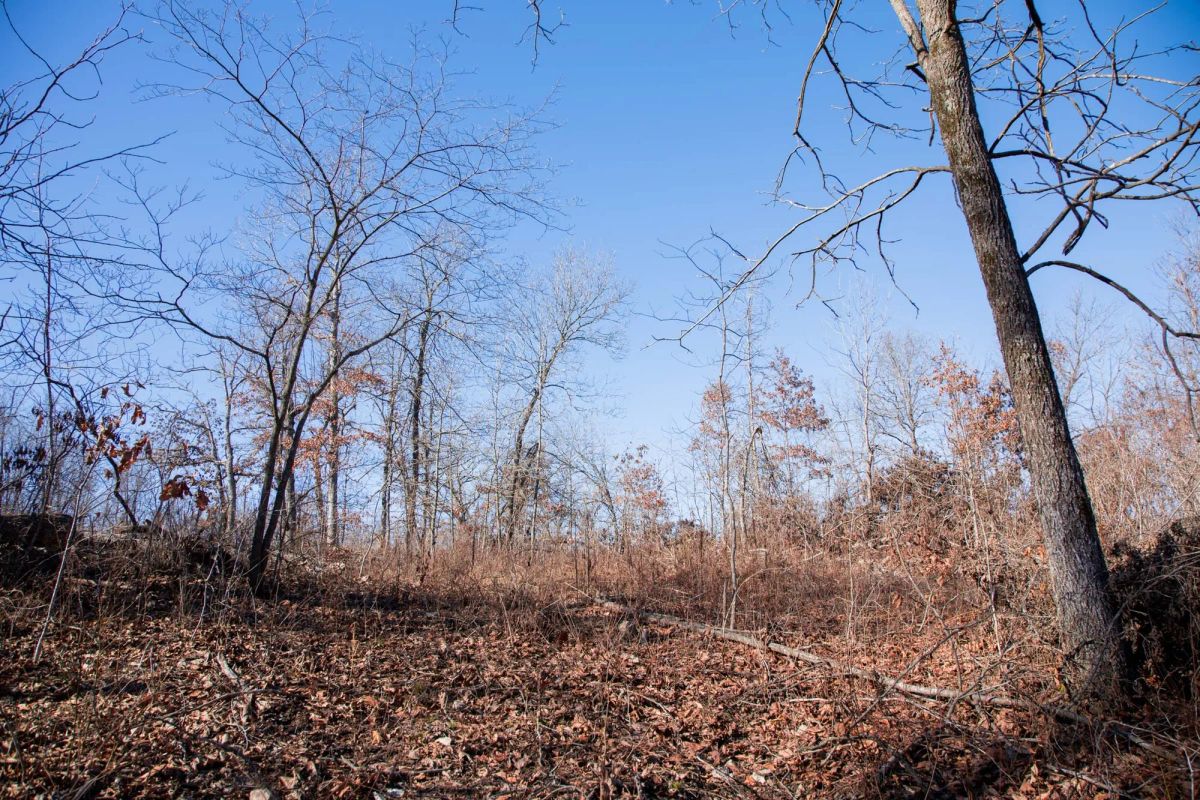 Decorative background for Buffalo Hills Tract 21 image 14