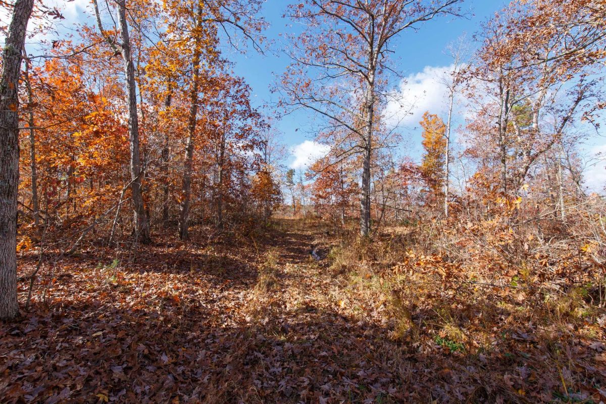 Hawkcrest Tract 40 - Main image