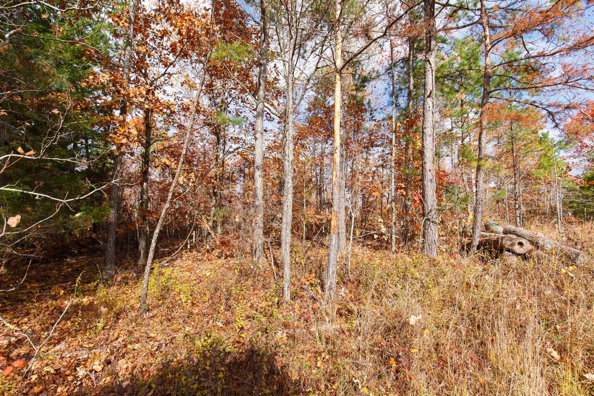 Hawkcrest Tract 40 in Reynolds County, MO