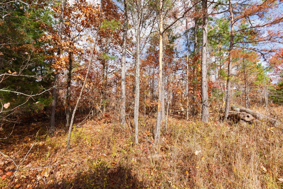 Hawkcrest Tract 40 - Image 3