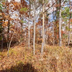 Hawkcrest Tract 40 in Reynolds County, MO