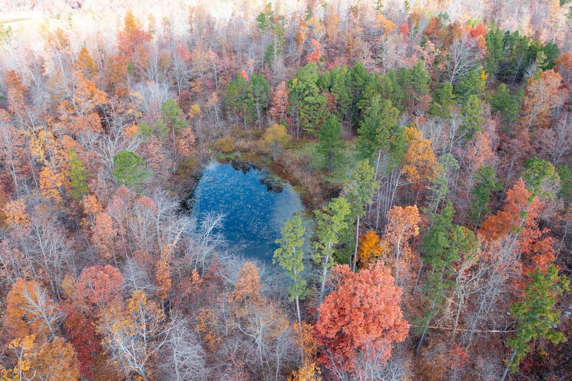 Hawkcrest Tract 40 in Reynolds County, MO