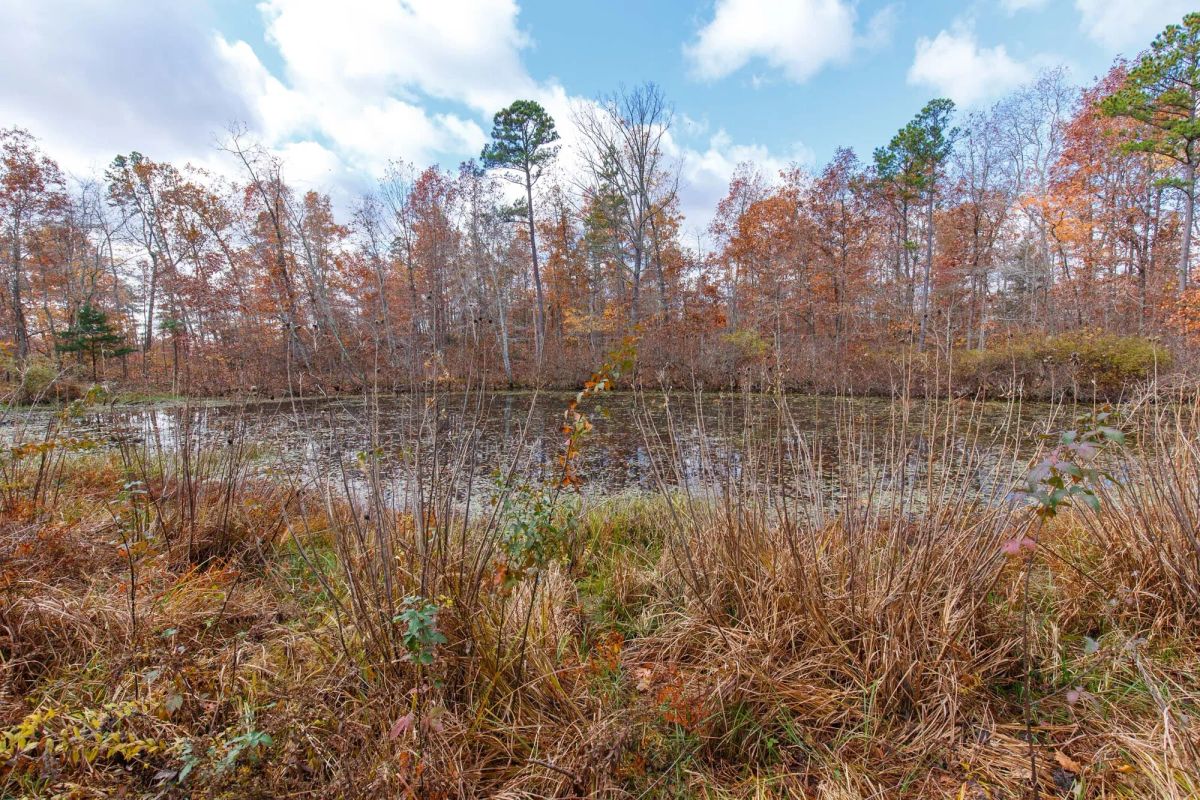 Decorative background for Hawkcrest Tract 40 image 6