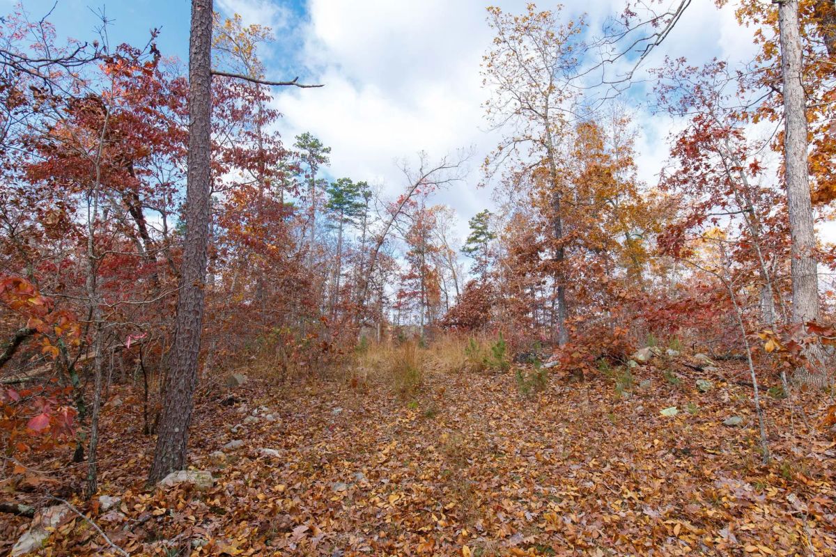 Decorative background for Hawkcrest Tract 40 image 8