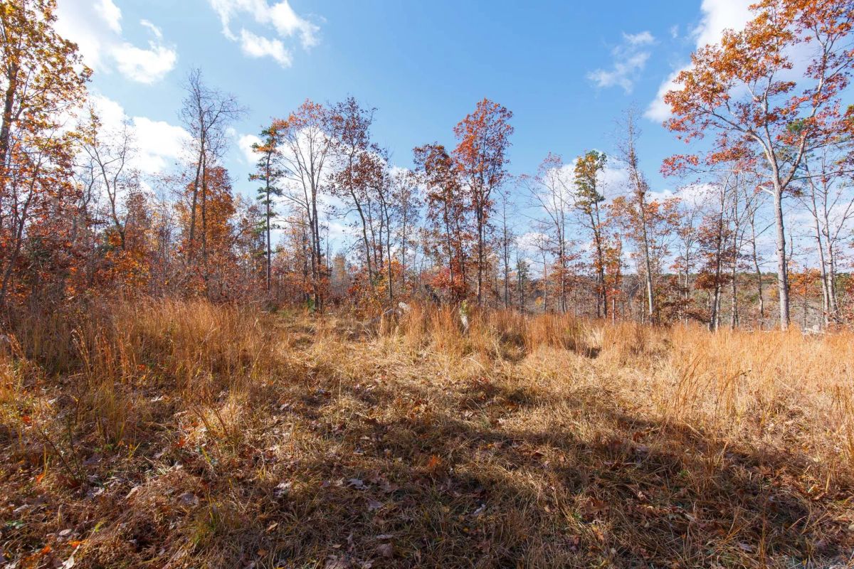 Decorative background for Hawkcrest Tract 40 image 12
