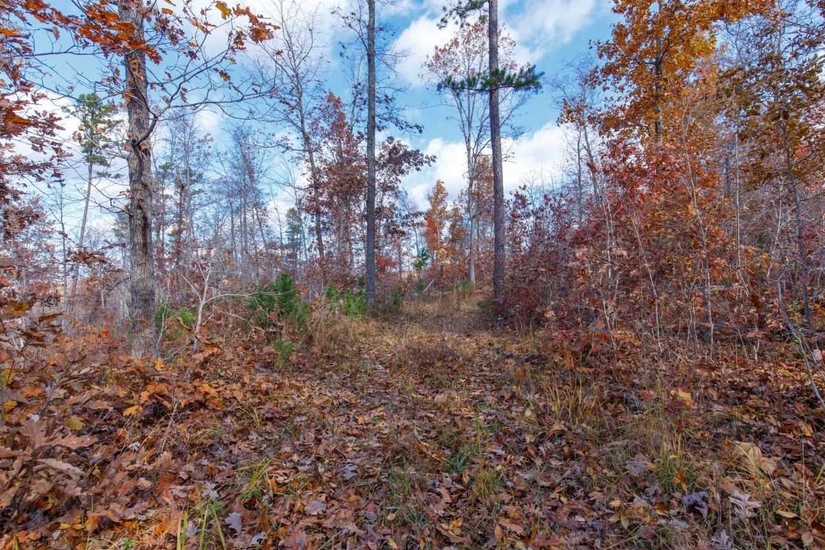 Decorative background for Hawkcrest Tract 40 image 15