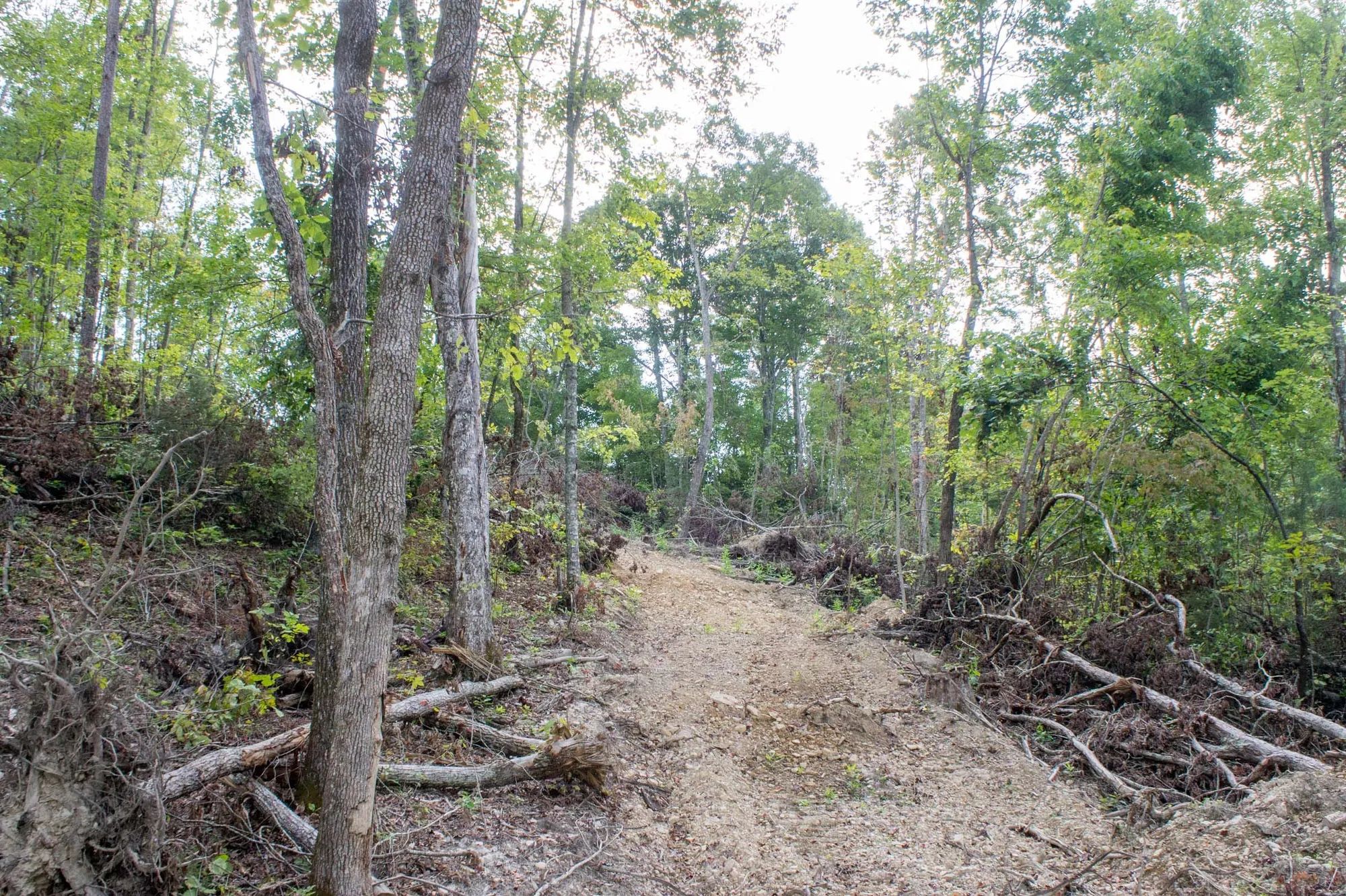 Buck Run Ridge Tract 16 in Wayne County, KY
