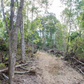 Buck Run Ridge Tract 16 in Wayne County, KY