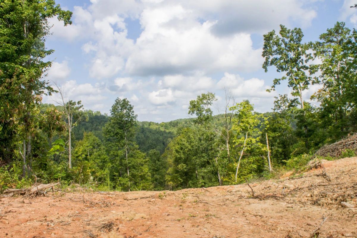 Decorative background for Buck Run Ridge Tract 16 image 8