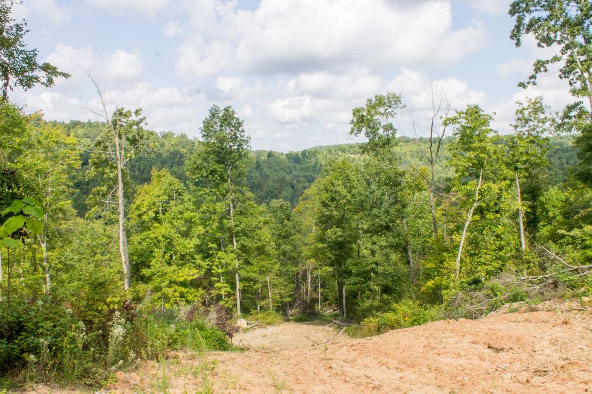 Decorative background for Buck Run Ridge Tract 16 image 11