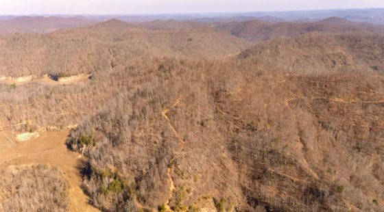 Jade Pass Tract 7 in Whitley County, KY