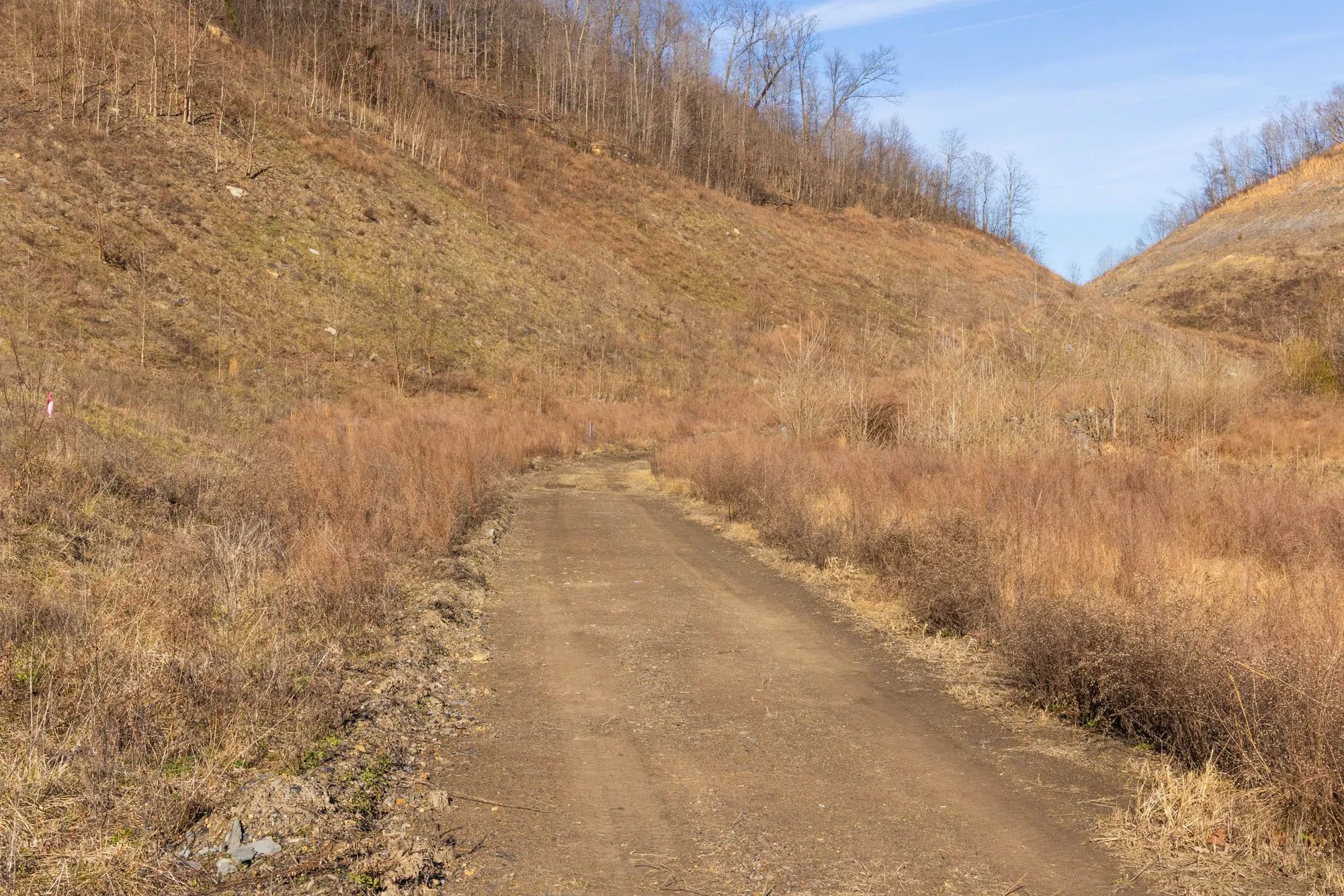 Jade Pass Tract 7 in Whitley County, KY