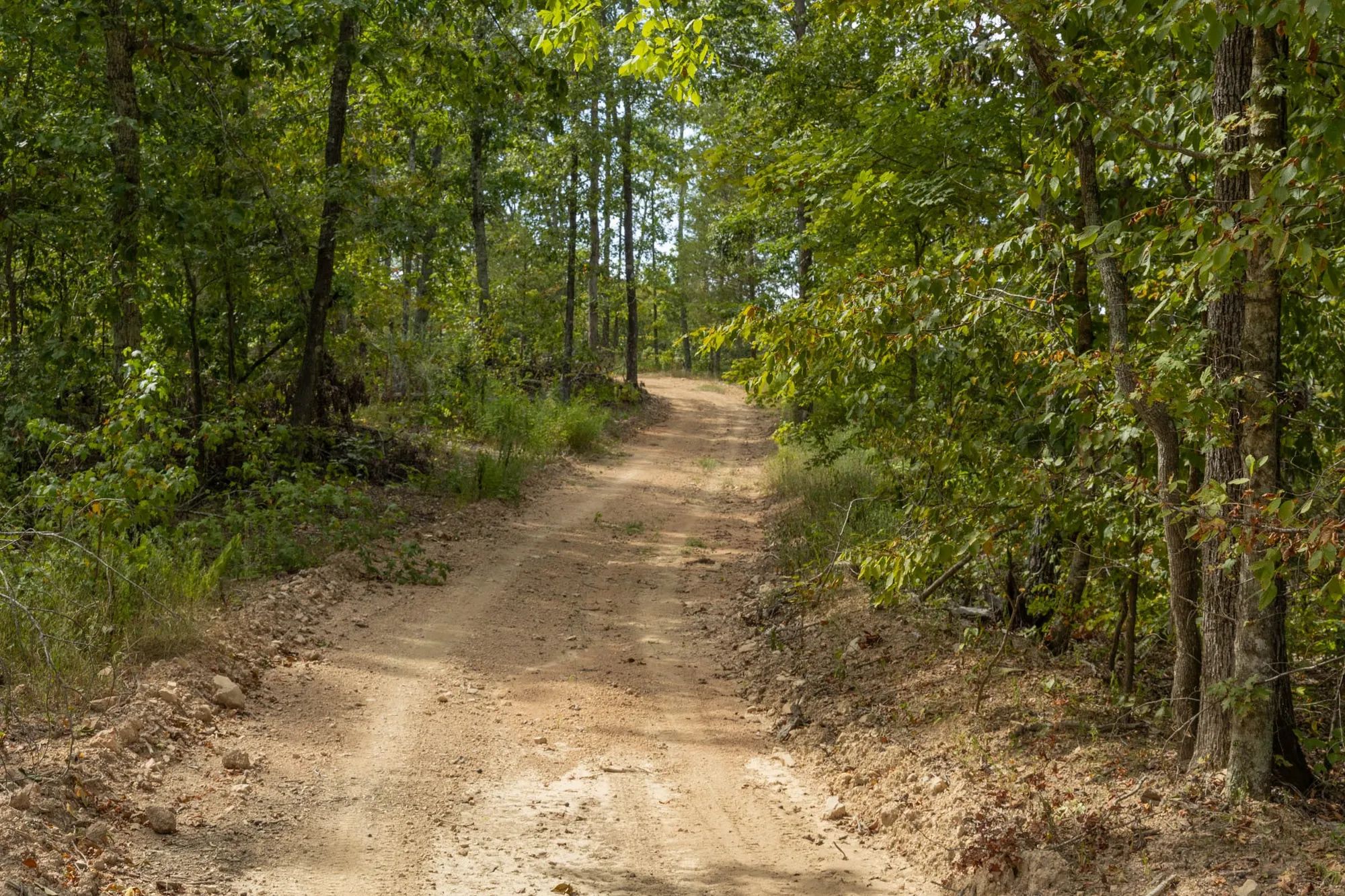 Big White Oak Tract 71 in Perry County, TN