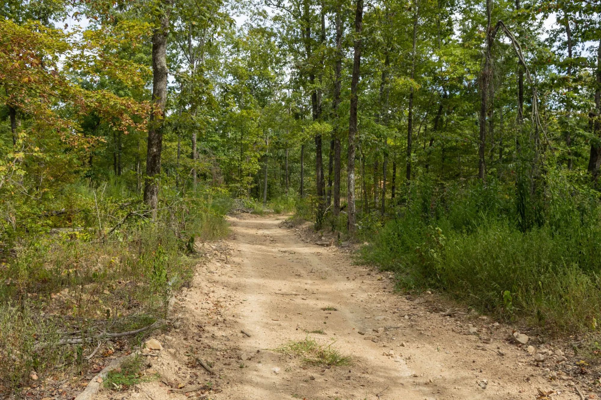 Big White Oak Tract 71 in Perry County, TN