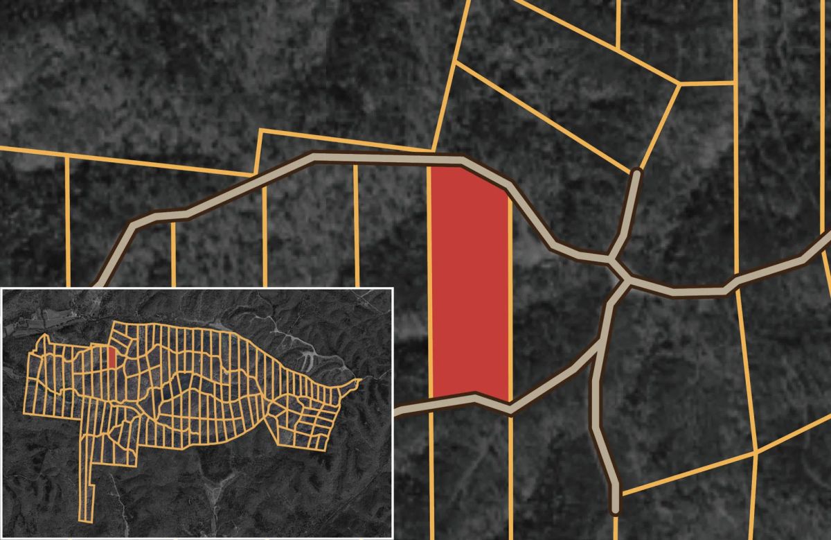 Decorative background for Big White Oak Tract 71 image 7