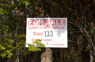 Borgmann’s Hollow Phase IV Tract 133