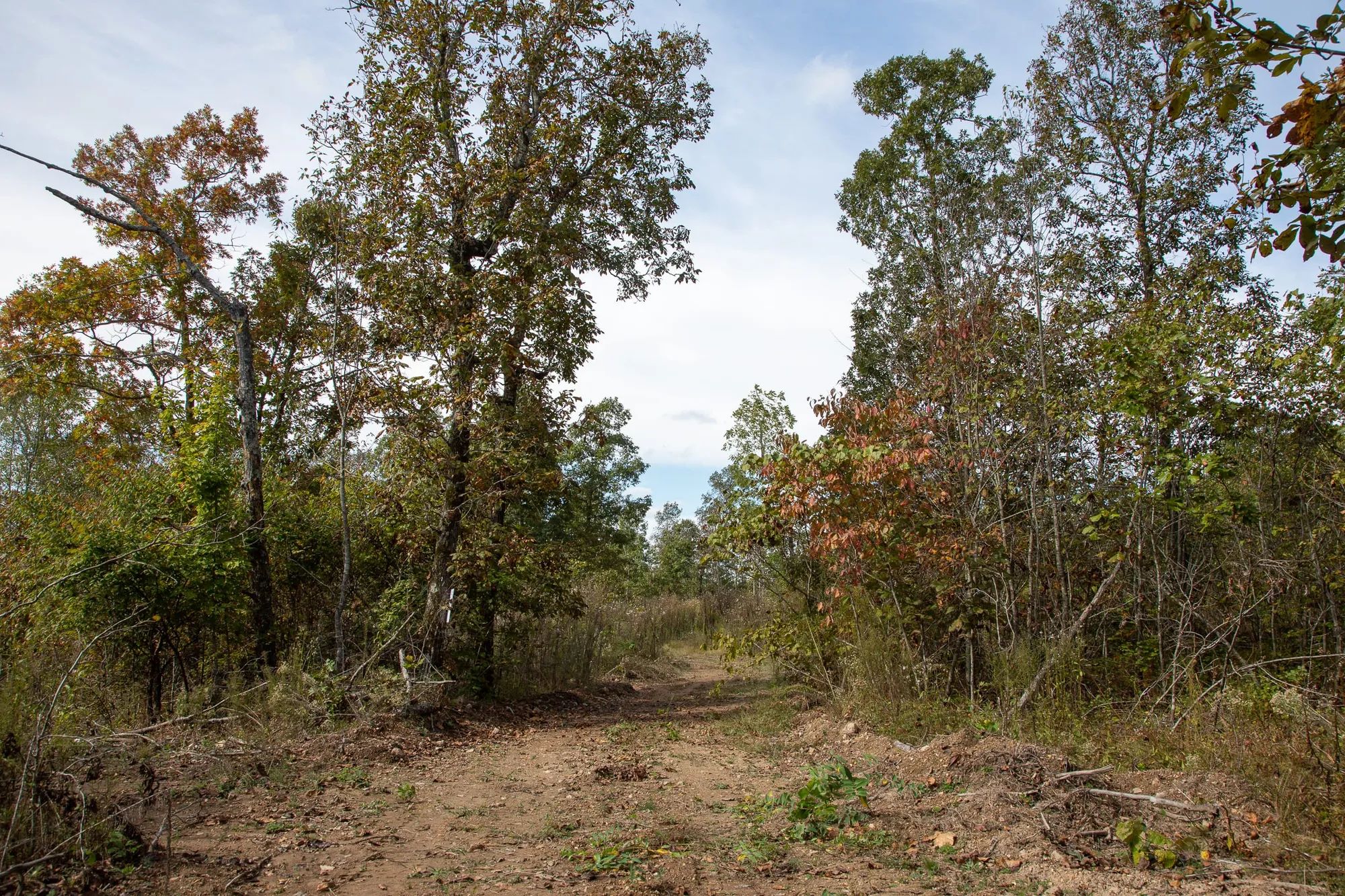 Borgmann’s Hollow Phase IV Tract 133 in Shannon County, MO