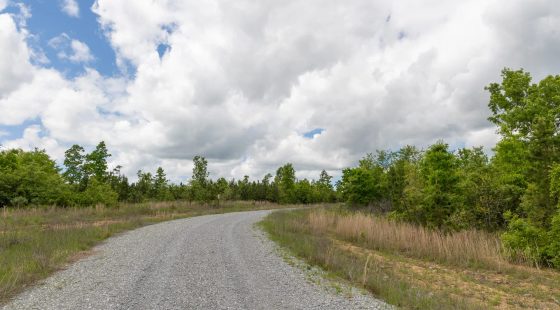 Sleepy Hollow Phase II Tract 96 in Texas County, MO
