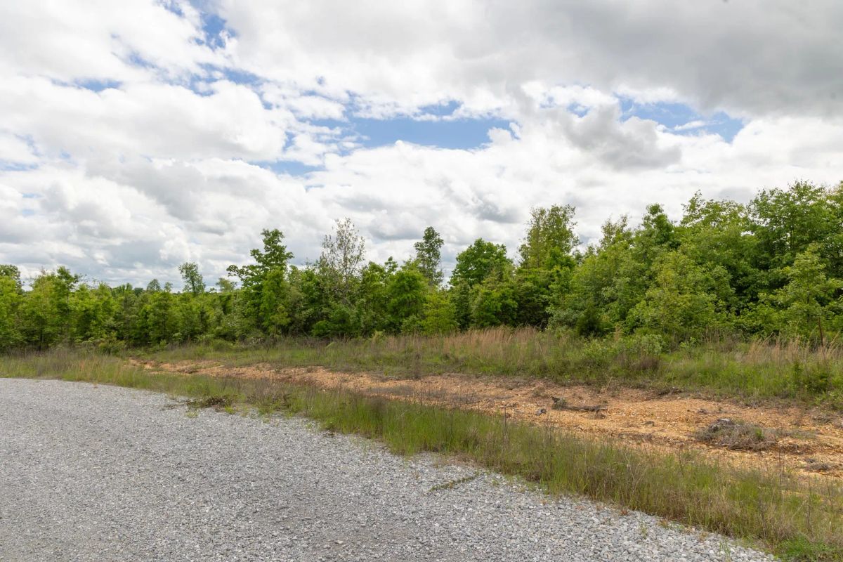 Sleepy Hollow Phase II Tract 96 - Image 4
