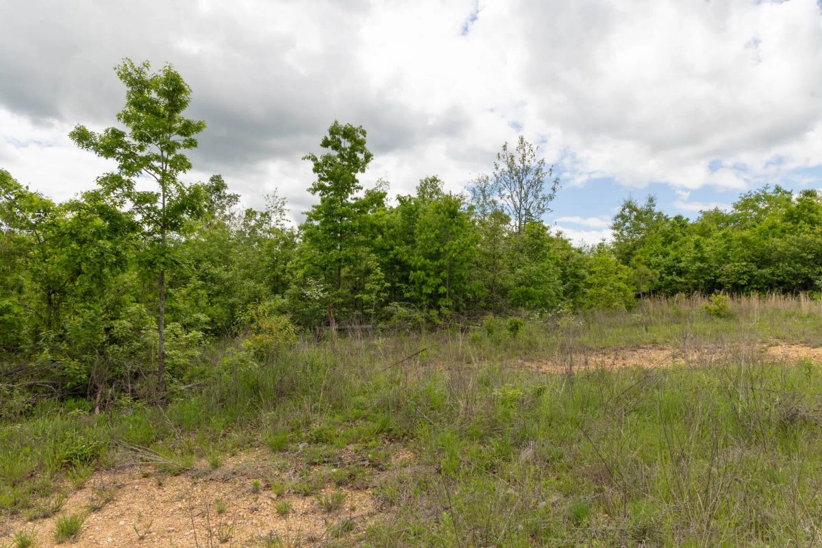 Decorative background for Sleepy Hollow Phase II Tract 96 image 5