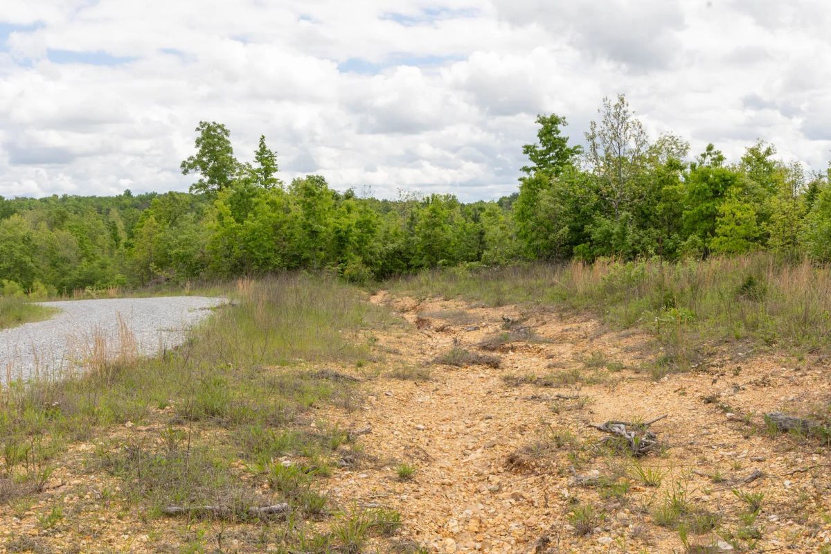 Decorative background for Sleepy Hollow Phase II Tract 96 image 6