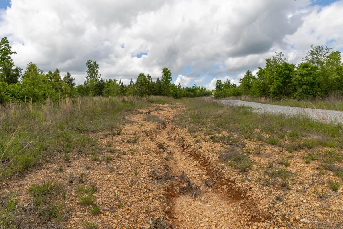 Decorative background for Sleepy Hollow Phase II Tract 96 image 7