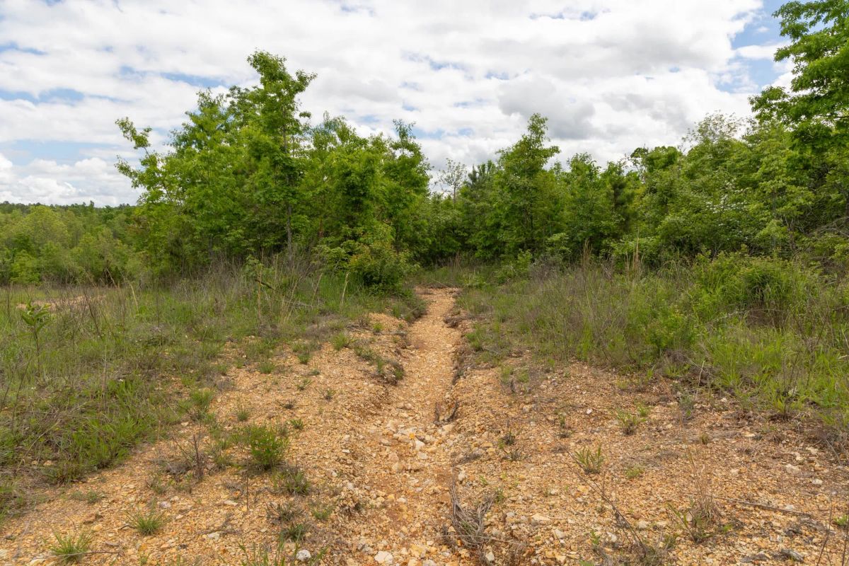 Decorative background for Sleepy Hollow Phase II Tract 96 image 8