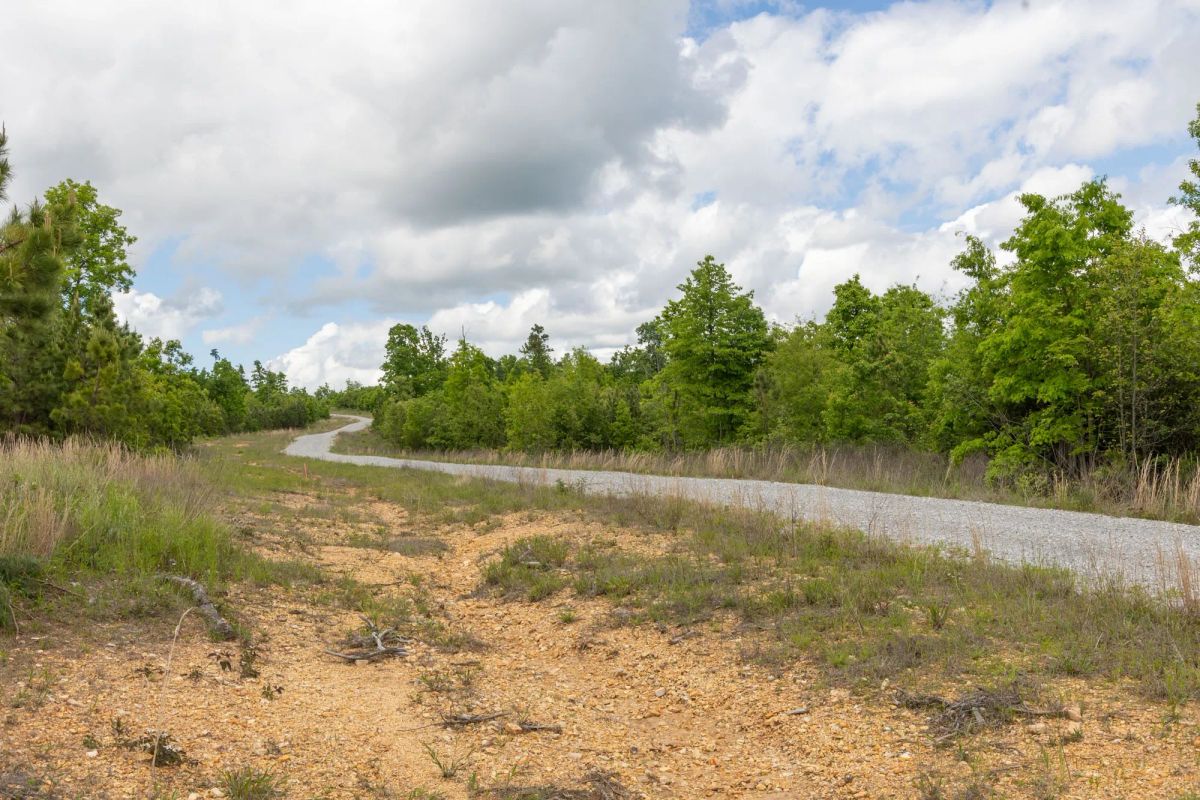 Decorative background for Sleepy Hollow Phase II Tract 96 image 10