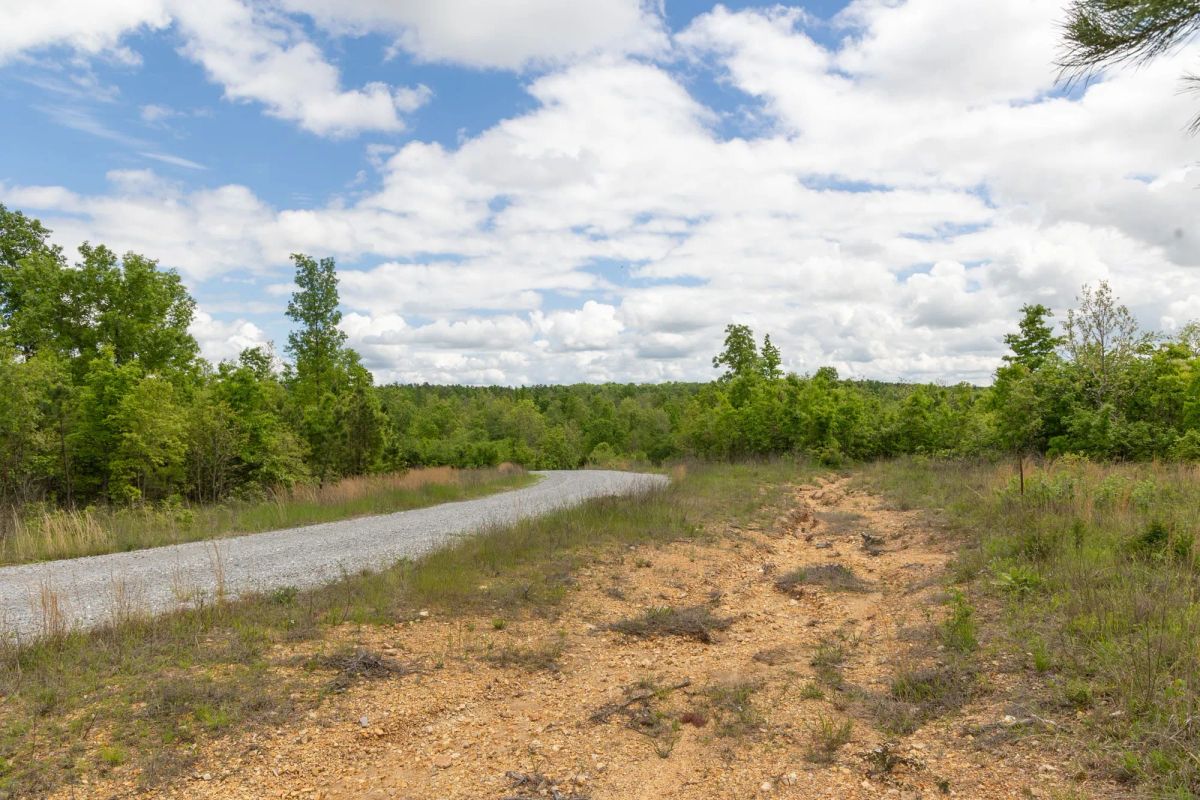 Decorative background for Sleepy Hollow Phase II Tract 96 image 11