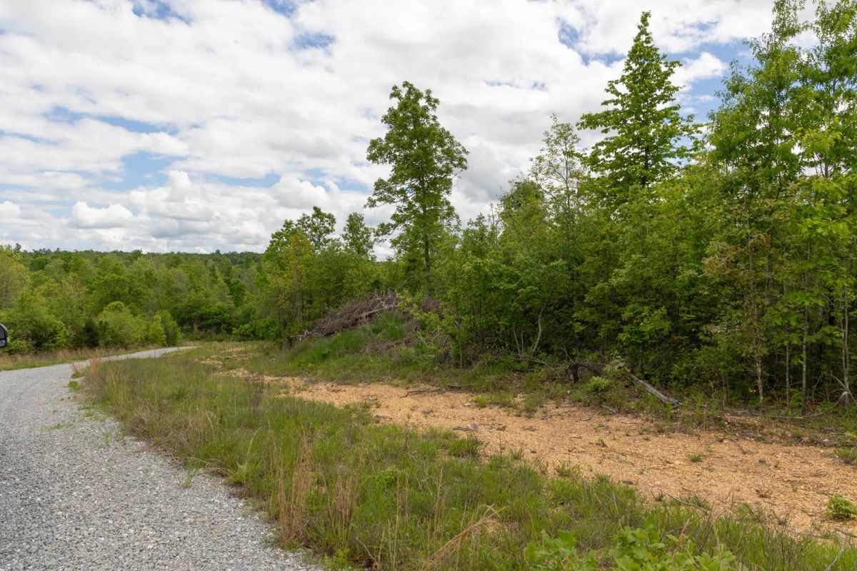 Decorative background for Sleepy Hollow Phase II Tract 96 image 12