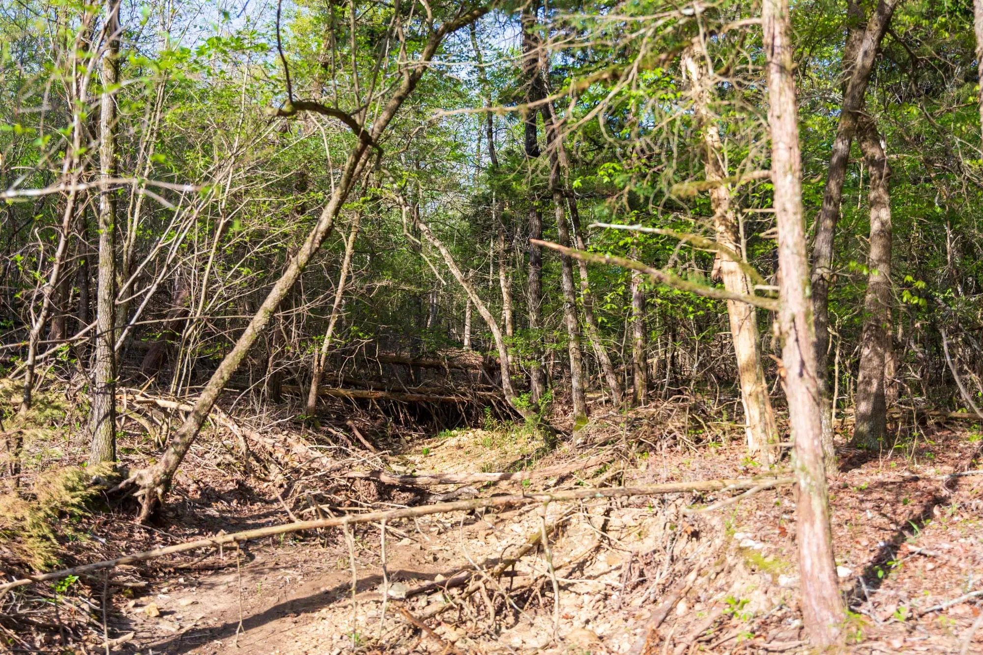 Autumnwood Tract 17 in Fulton County, AR