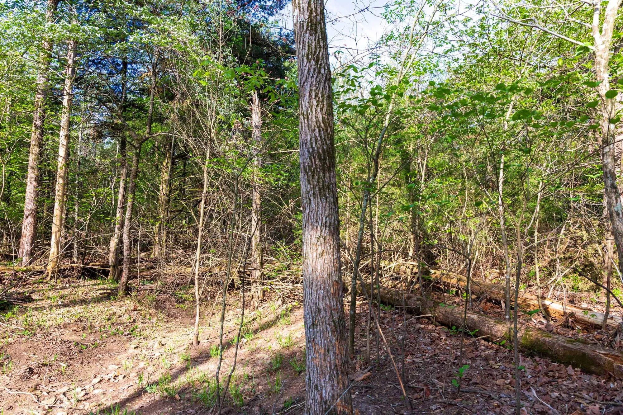 Autumnwood Tract 17 in Fulton County, AR