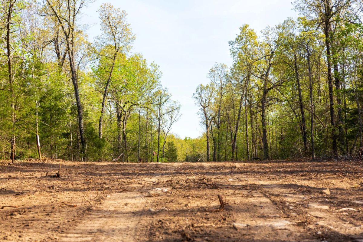 Decorative background for Autumnwood Tract 17 image 11