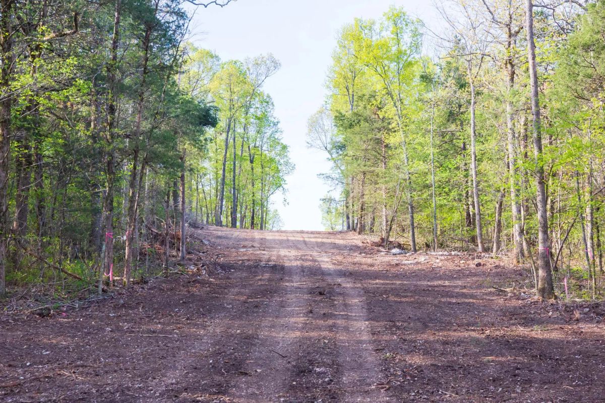 Decorative background for Autumnwood Tract 17 image 12